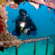 Illustration for article titled Old Oil Rig Converted Into Brand New Vacation Spot For Scuba Divers